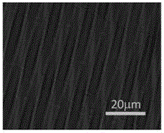 Method for constructing multistage ordered microstructure by combination of template imprinting and surface wrinkling