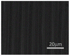 Method for constructing multistage ordered microstructure by combination of template imprinting and surface wrinkling