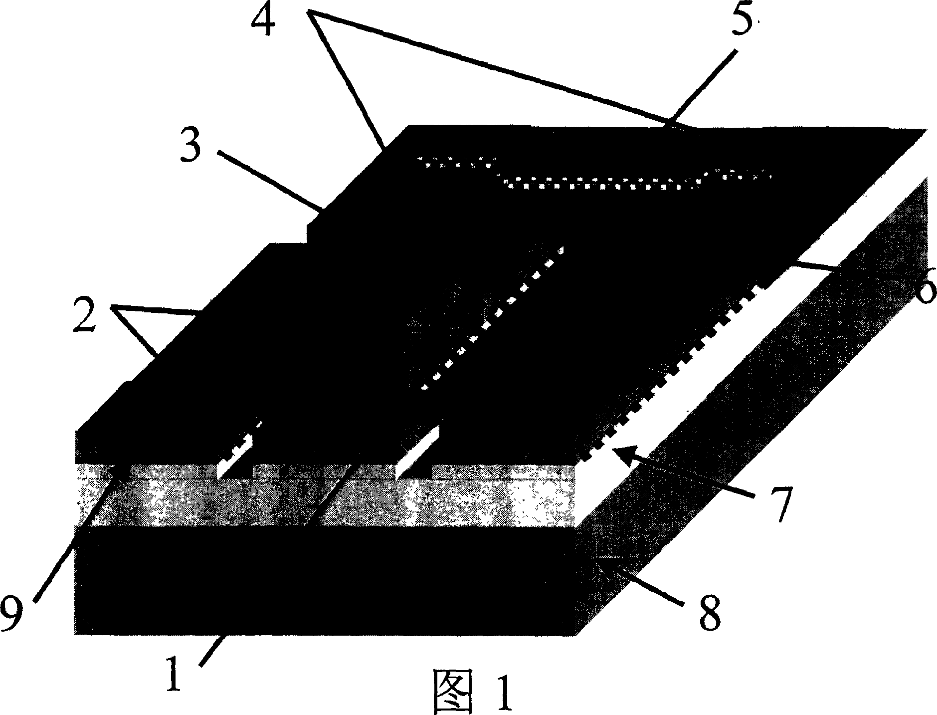 Single electron memory having carbon nano tube structure and process for making it