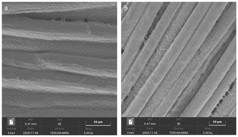 Method for improving dyeing performance of aramid fiber cloth