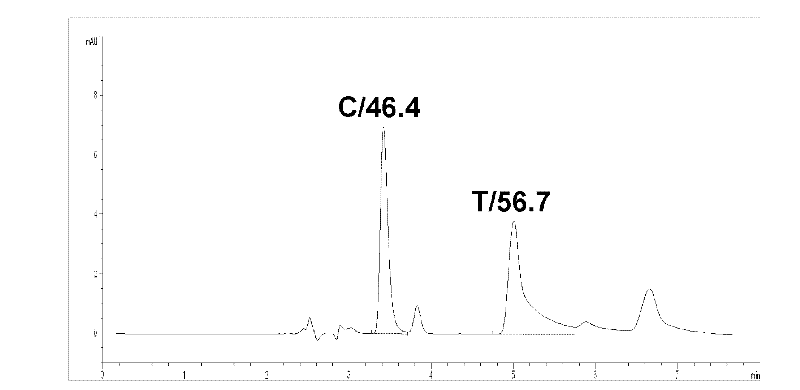 Method for polymorphism detection of gene based on single base extension reaction