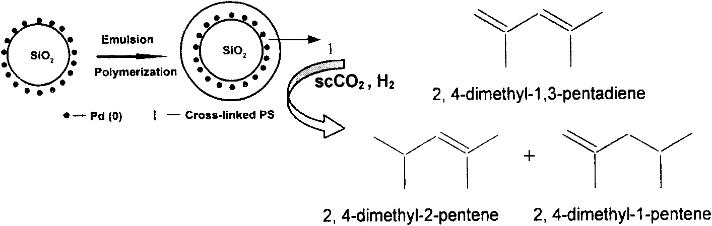 Nano metal catalyst and preparation method and application thereof