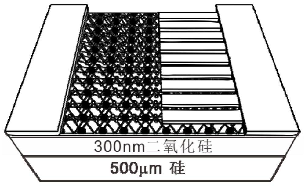 Molybdenum disulfide photoelectric detector and preparation method thereof