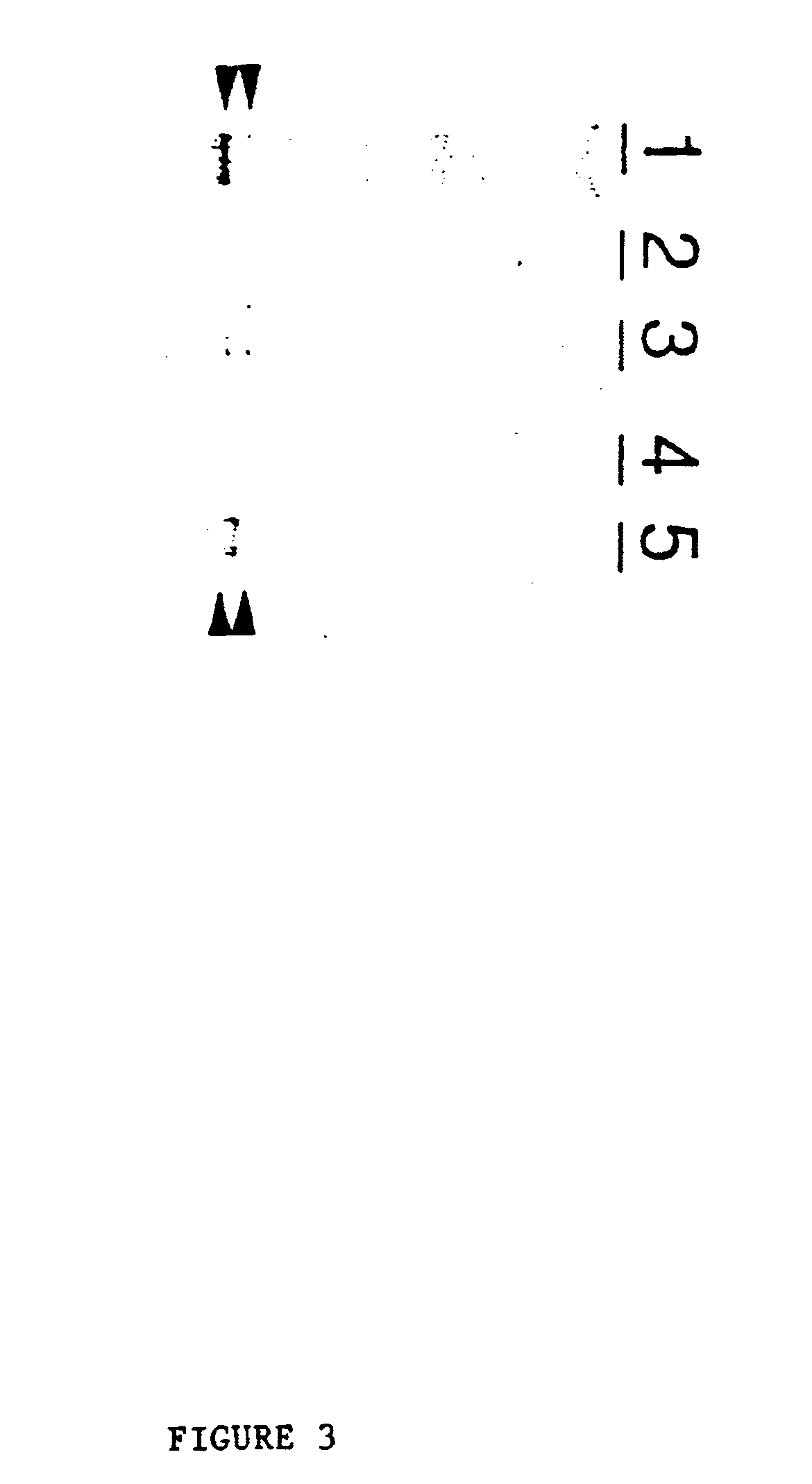 Nucleic acid delivery system, methods of synthesis and use thereof