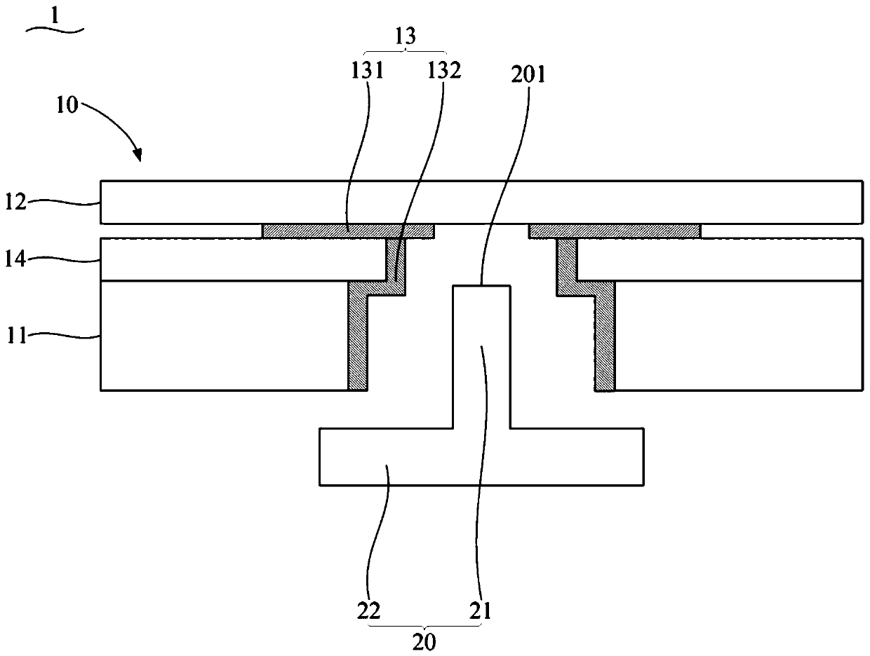 Display screen and terminal device