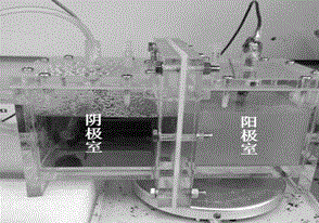 Technique for treating fermentation wastewater by microbial fuel cell