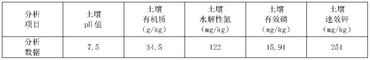 Facultative anaerobic bacteria biological fertilizer