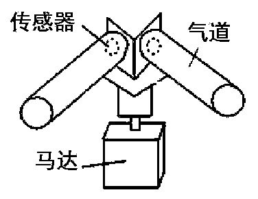 Stereoscopic electronic nose for simulating animal olfactory organ structure