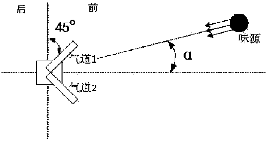 Stereoscopic electronic nose for simulating animal olfactory organ structure