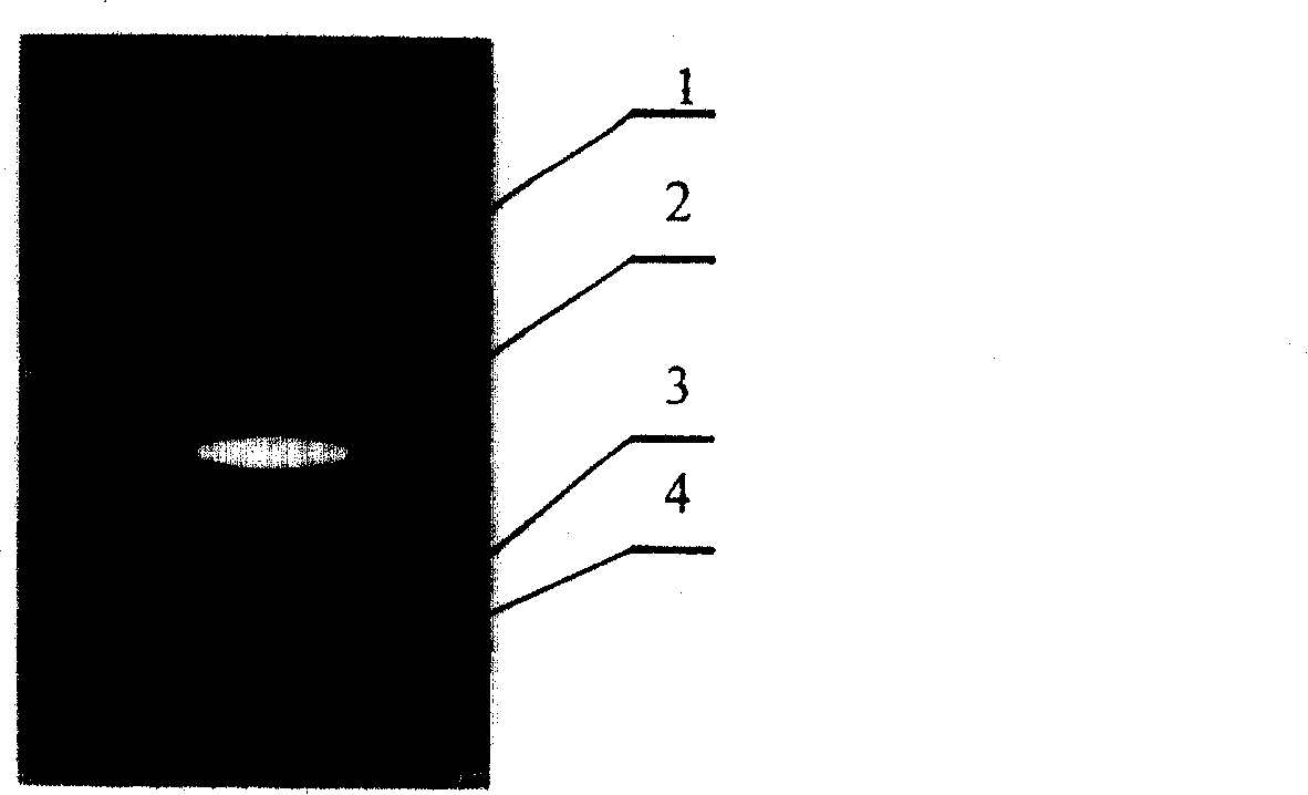 Double-view field star sensor and method for identifying star atlas using the same