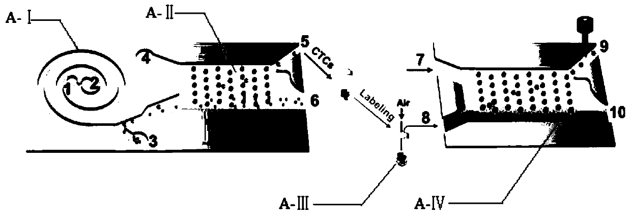 Micro fluidic device for CTC high-flux unicell phenotype analysis