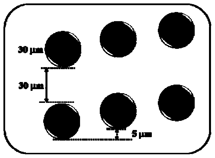 Micro fluidic device for CTC high-flux unicell phenotype analysis