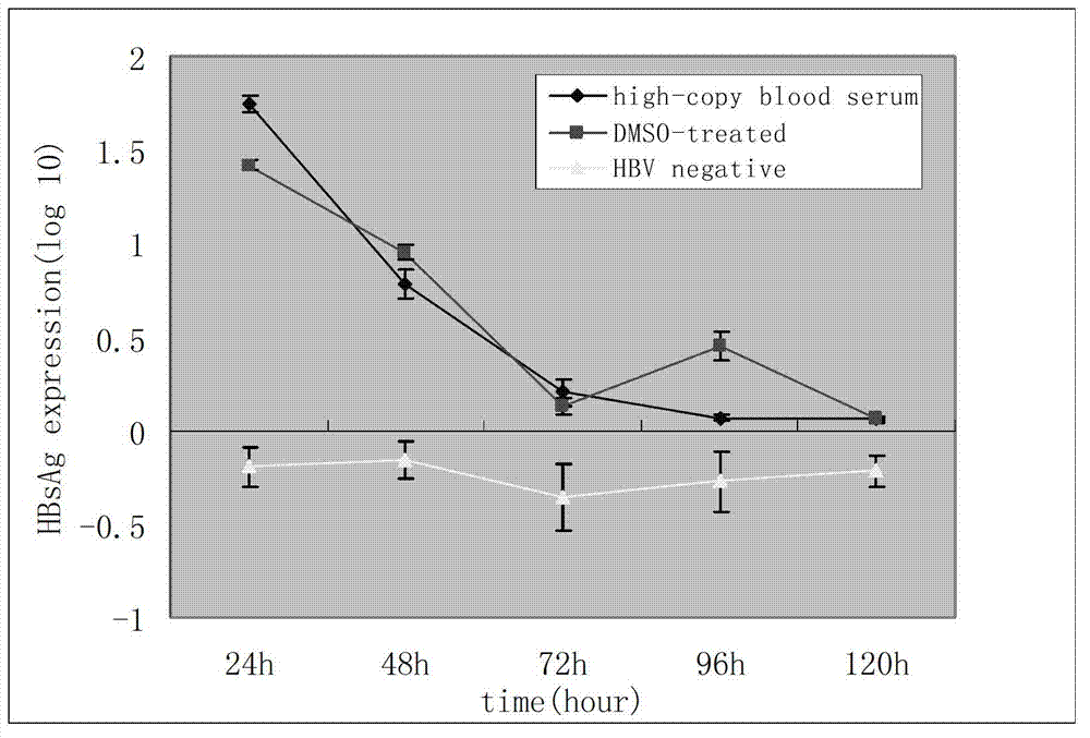 Blood serum model and cell model of in vitro HBV (Hepatitis B Virus) infection and building method thereof