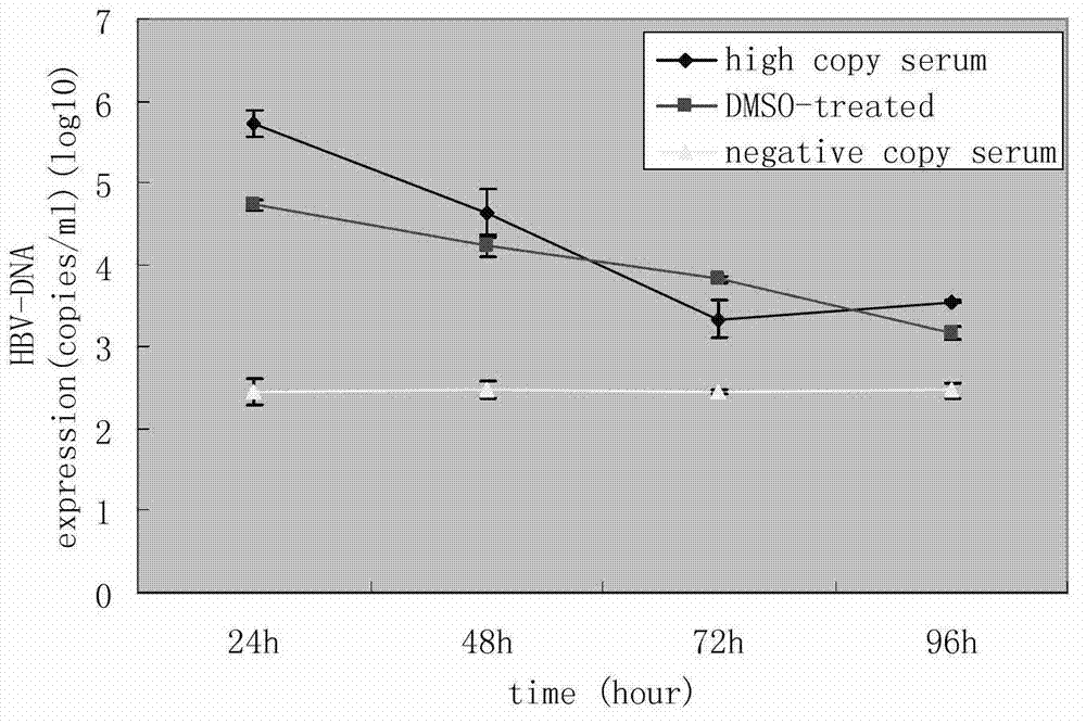 Blood serum model and cell model of in vitro HBV (Hepatitis B Virus) infection and building method thereof