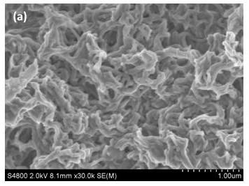 Preparation method of porous network structure graphene/polyaniline composite dry gel