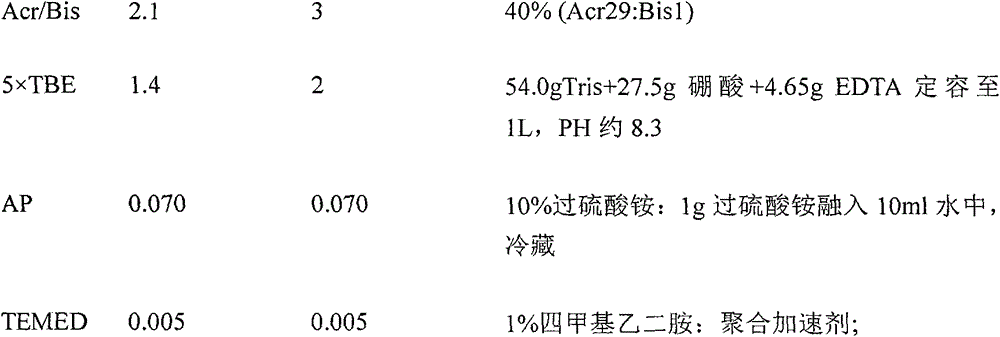 Preparation method and application of genetic marker of high intramuscular fat content in pectoralis of Baicheng fatty chicken