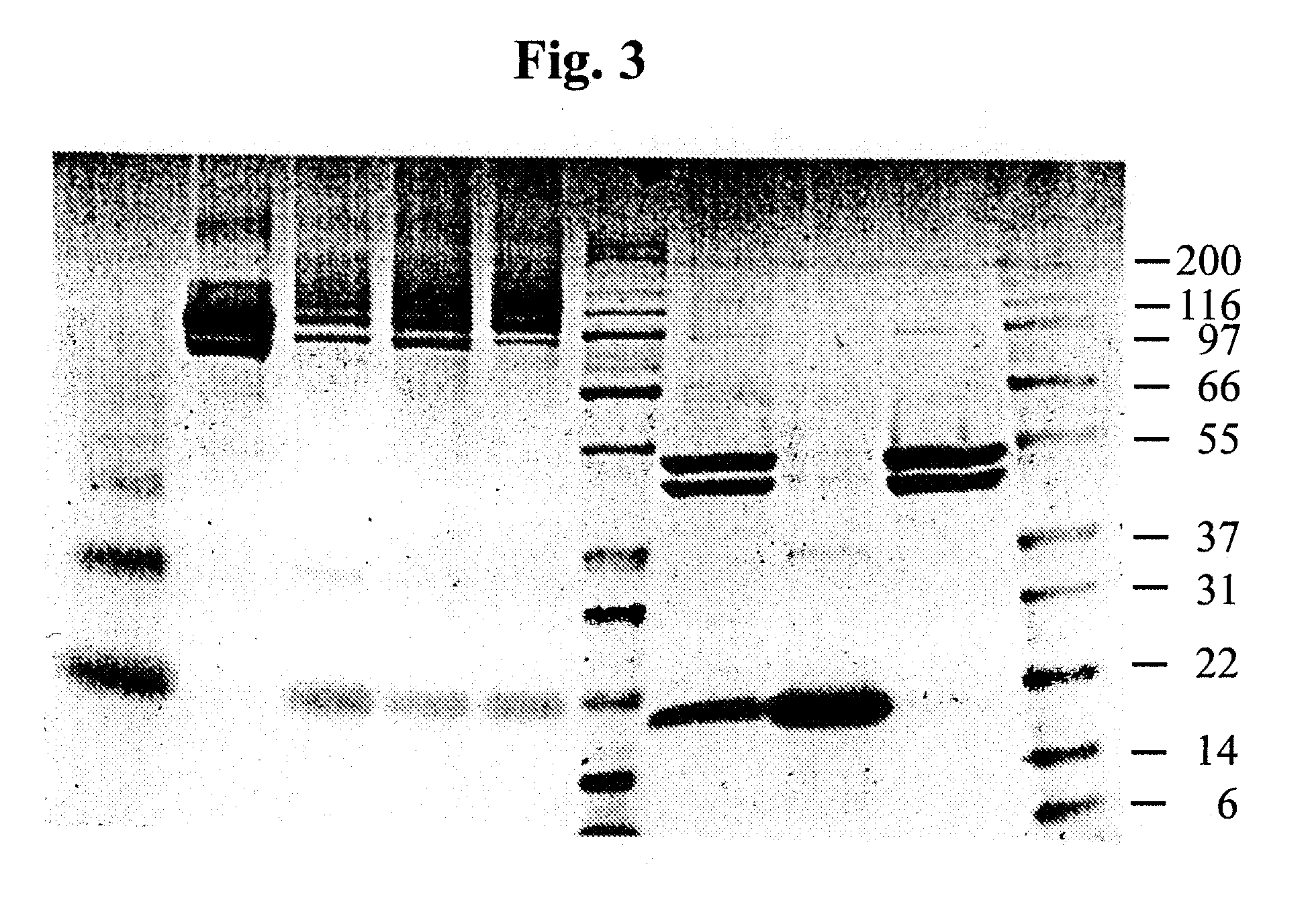 Treatment of mucus hypersecretion