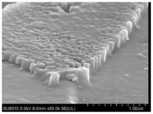 High-hardness transparent microcrystal glass with crystal oriented array structure and preparation method of high-hardness transparent microcrystal glass