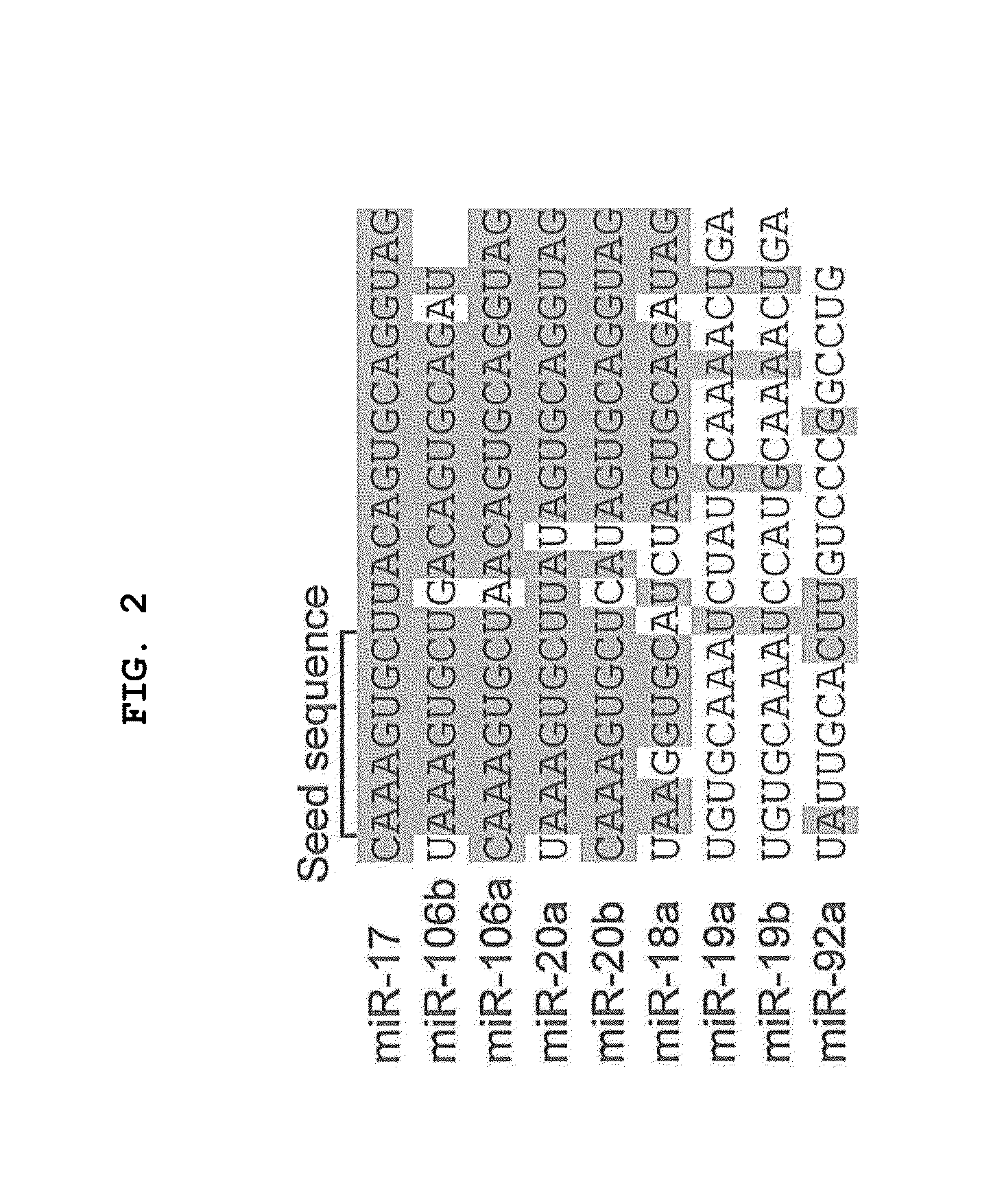 Neuronal differentiation promoter