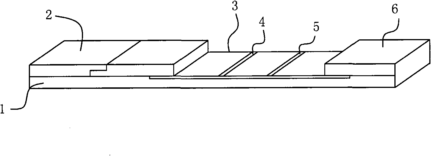 Fast test strip of vesicular stomatitis virus (VSV) and preparation method thereof