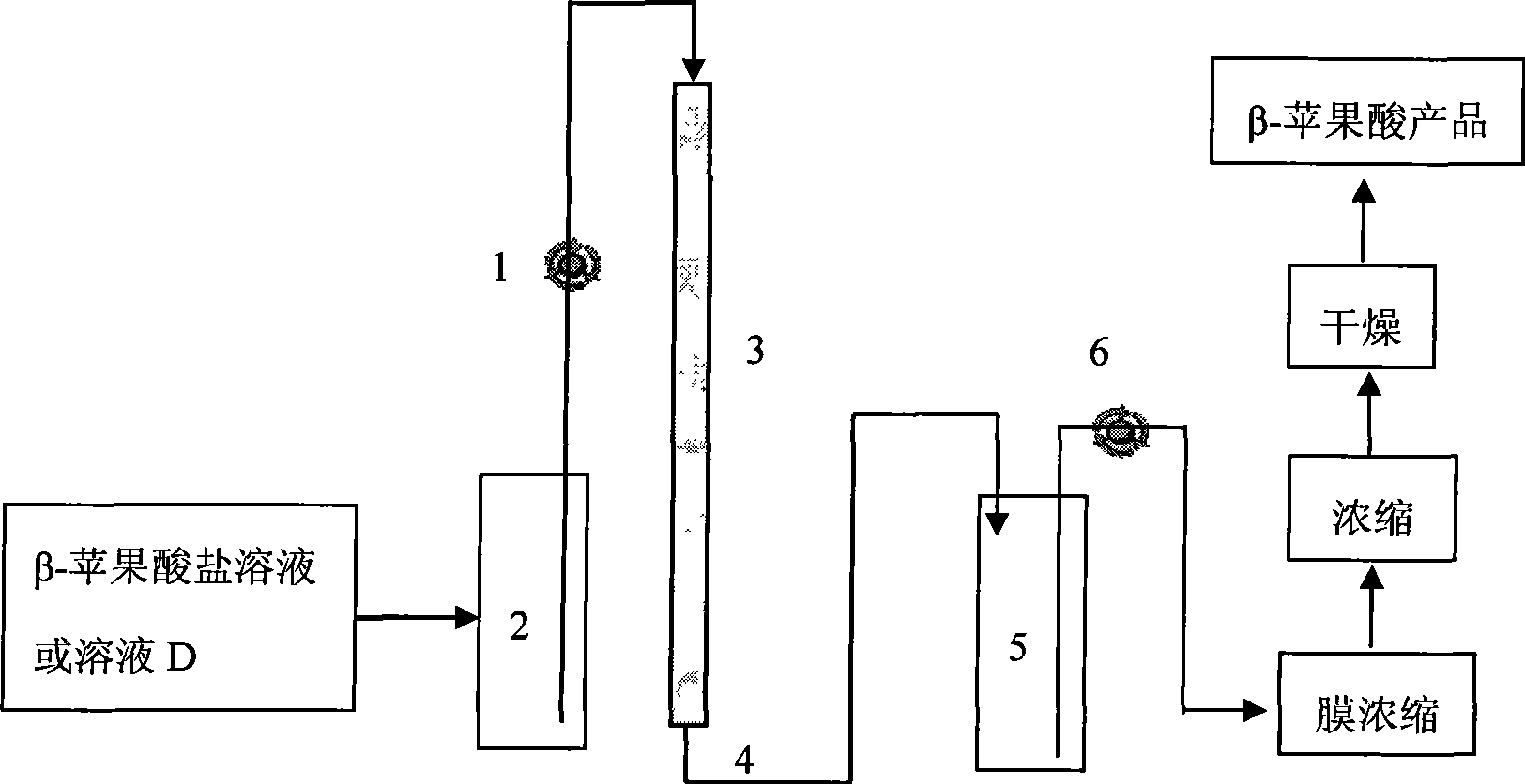 Preparation f beta-poly malic acid and salt thereof