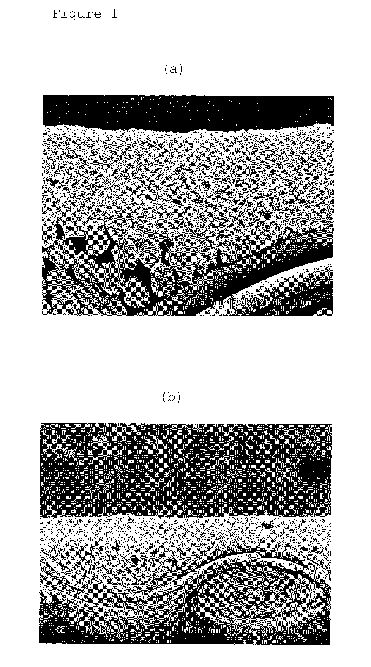 Moisture-permeable waterproof fabric and process for producing same