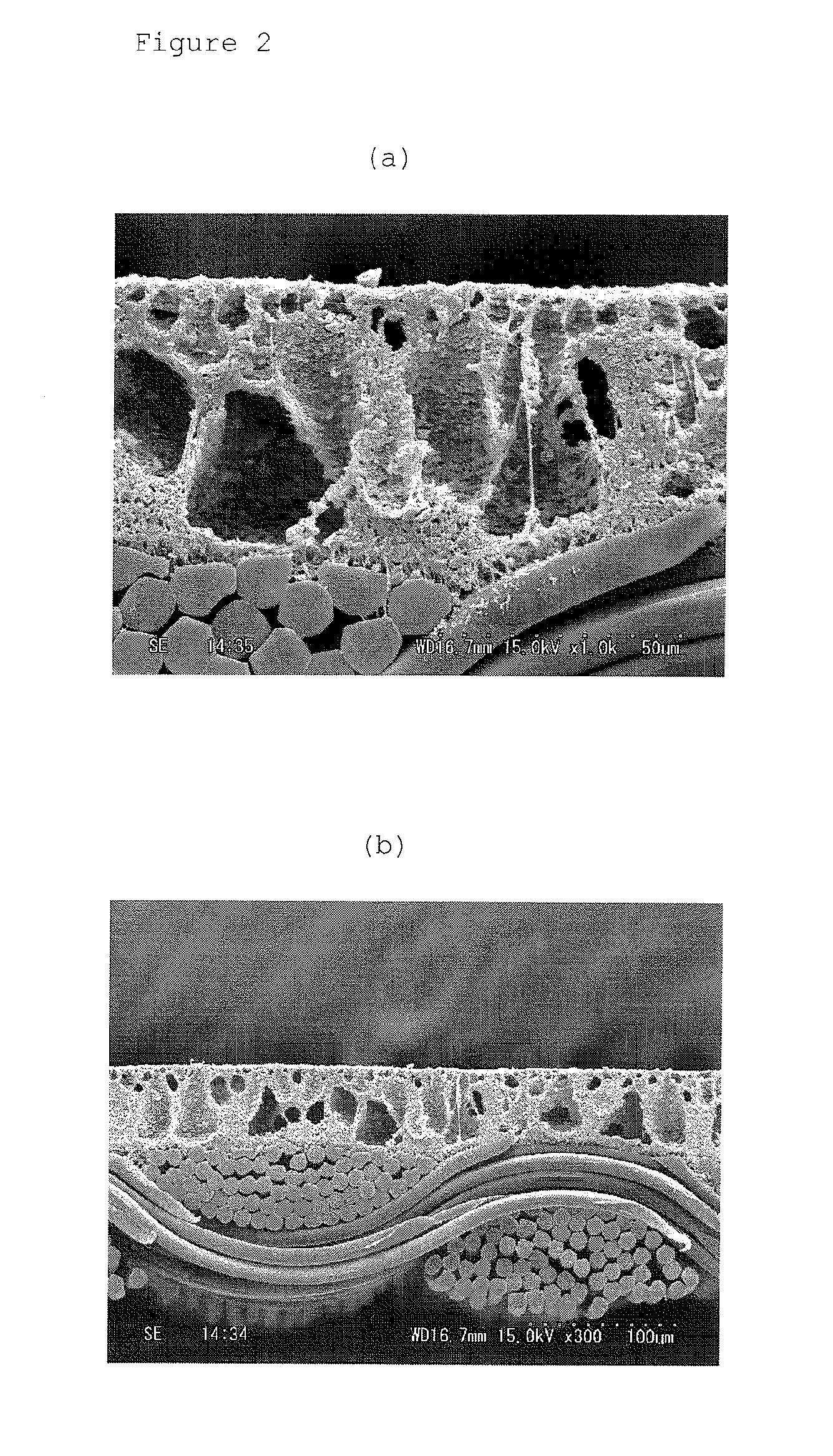 Moisture-permeable waterproof fabric and process for producing same