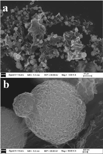 Pompom-shaped zinc oxide/graphene composite adsorbent and its preparation method and application