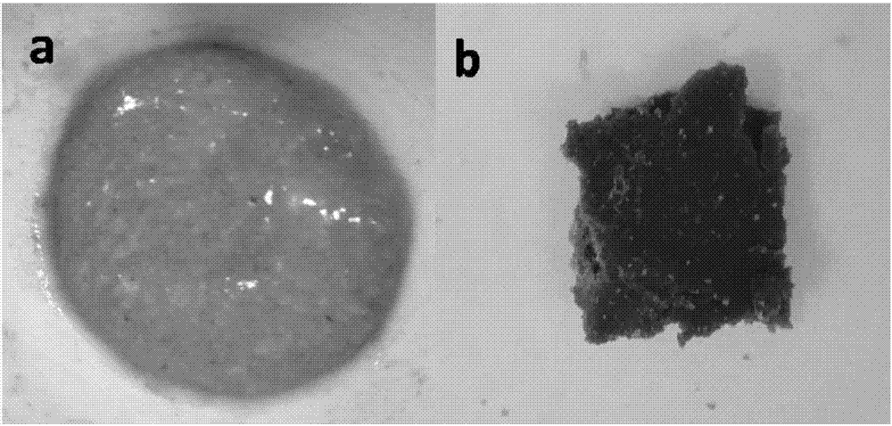 Method of using ionic liquid solvent system to dissolve fermented mushroom dregs to prepare polymers