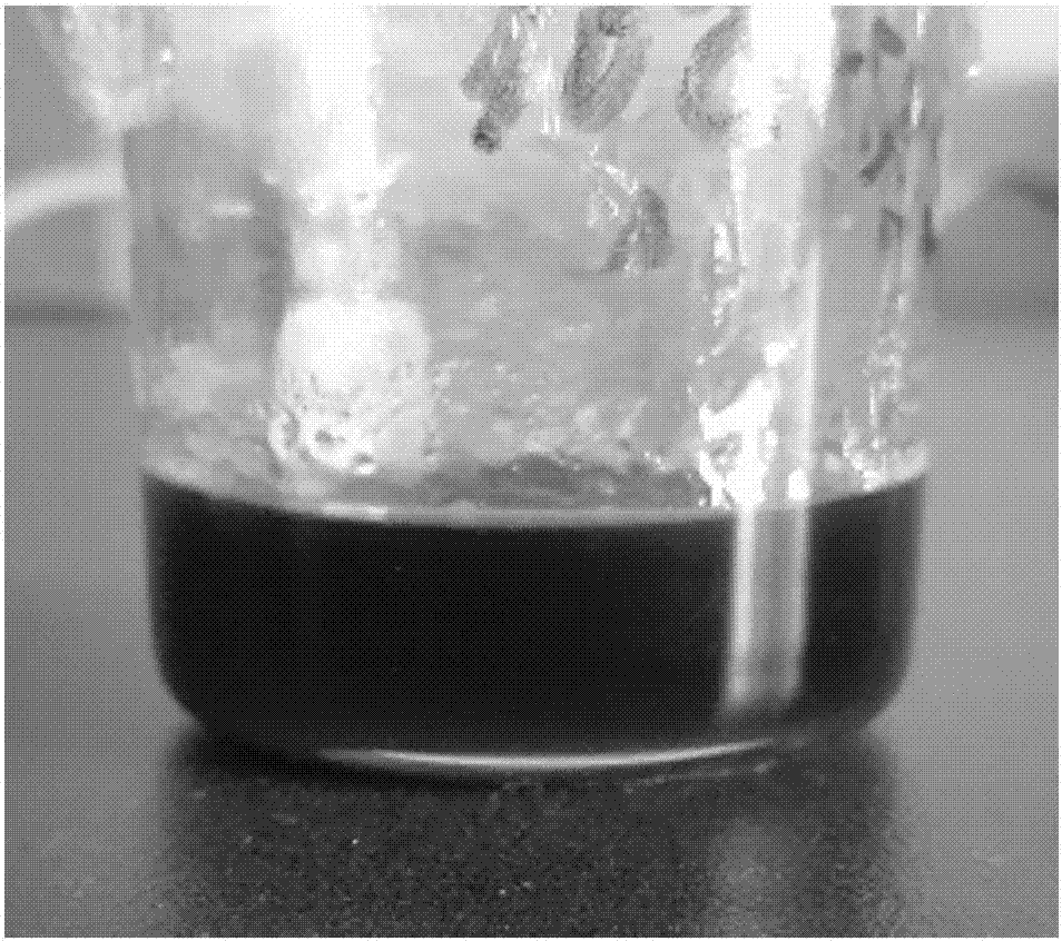 Method of using ionic liquid solvent system to dissolve fermented mushroom dregs to prepare polymers