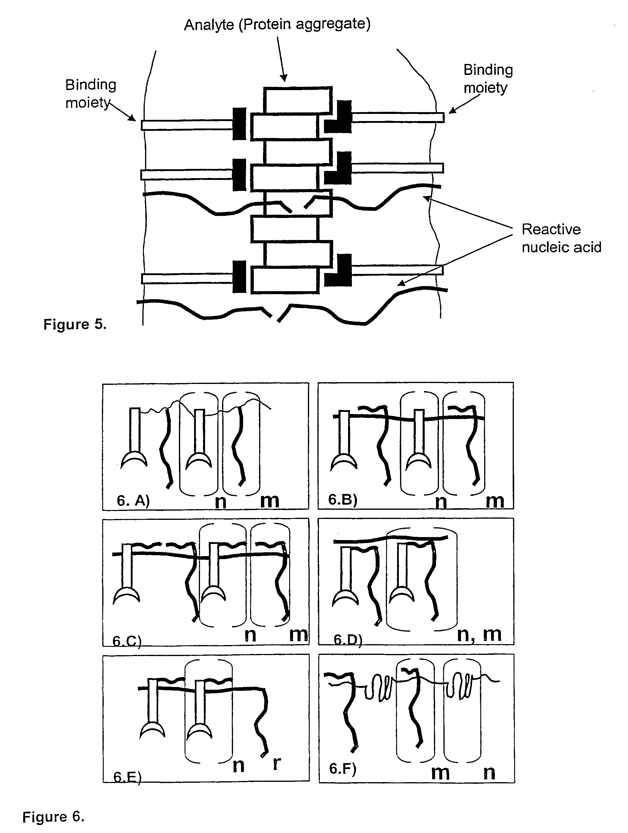 Kit for proximity probing with multivalent proximity probes