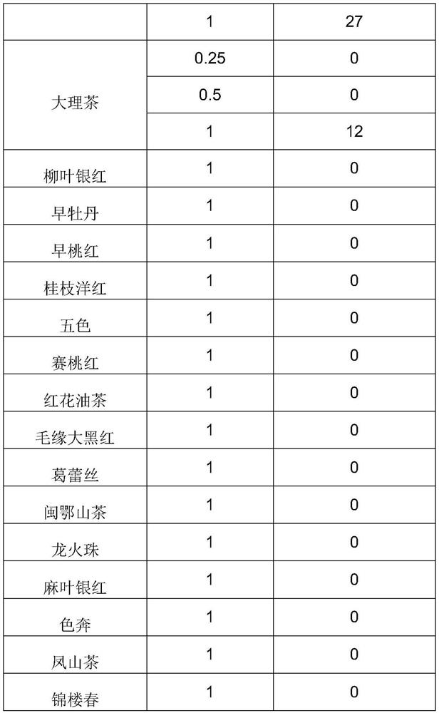 A camellia extract and Chinese herbal medicine cosmetic containing the camellia extract