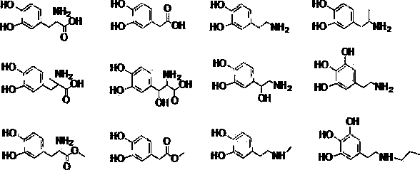 Nanometer functionalization surface modification method based on o-dihydroxybenzene derivatives