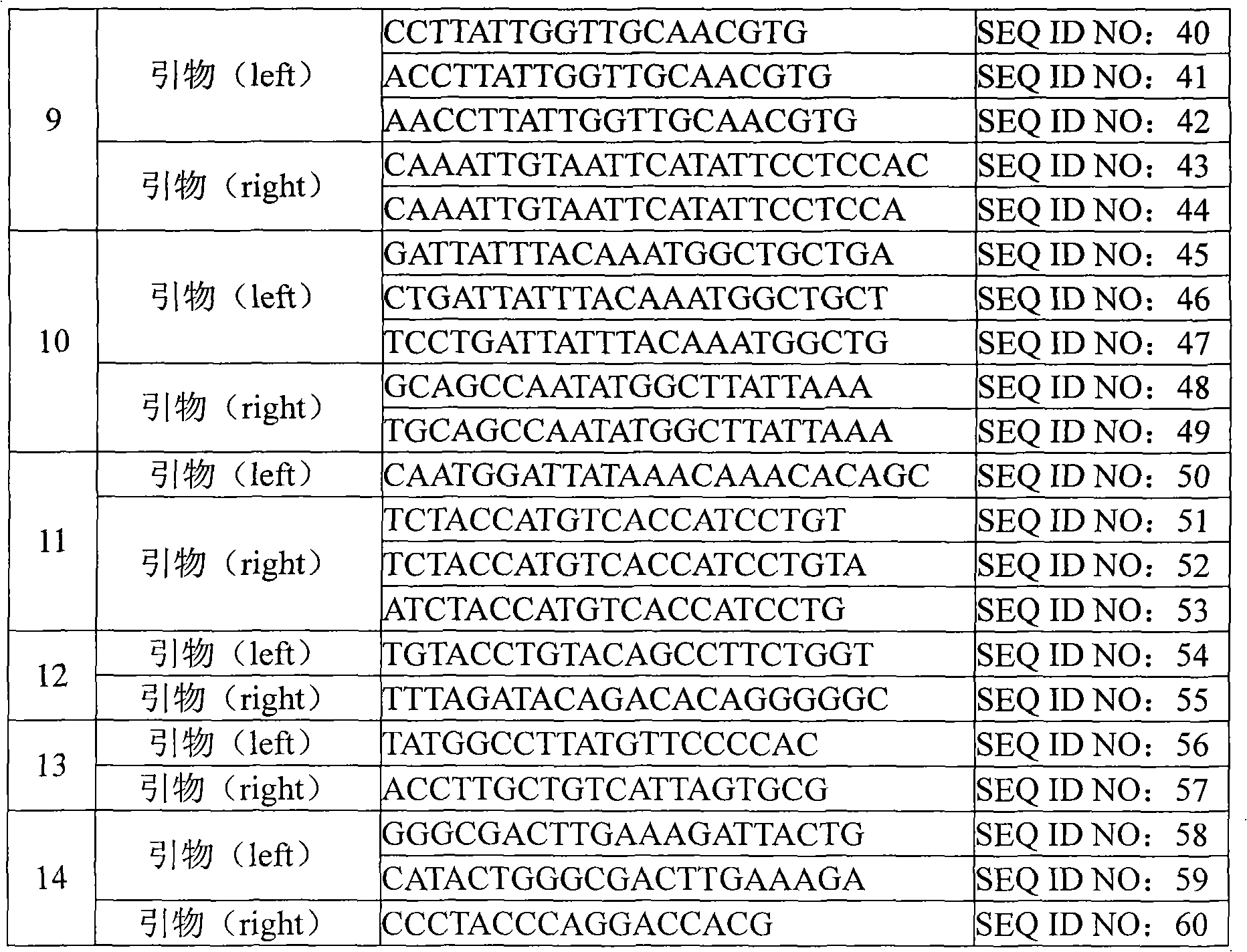 Assay kit for detecting human papillomavirus and preparation and use thereof