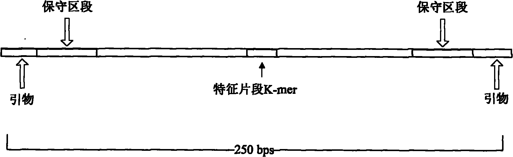 Assay kit for detecting human papillomavirus and preparation and use thereof