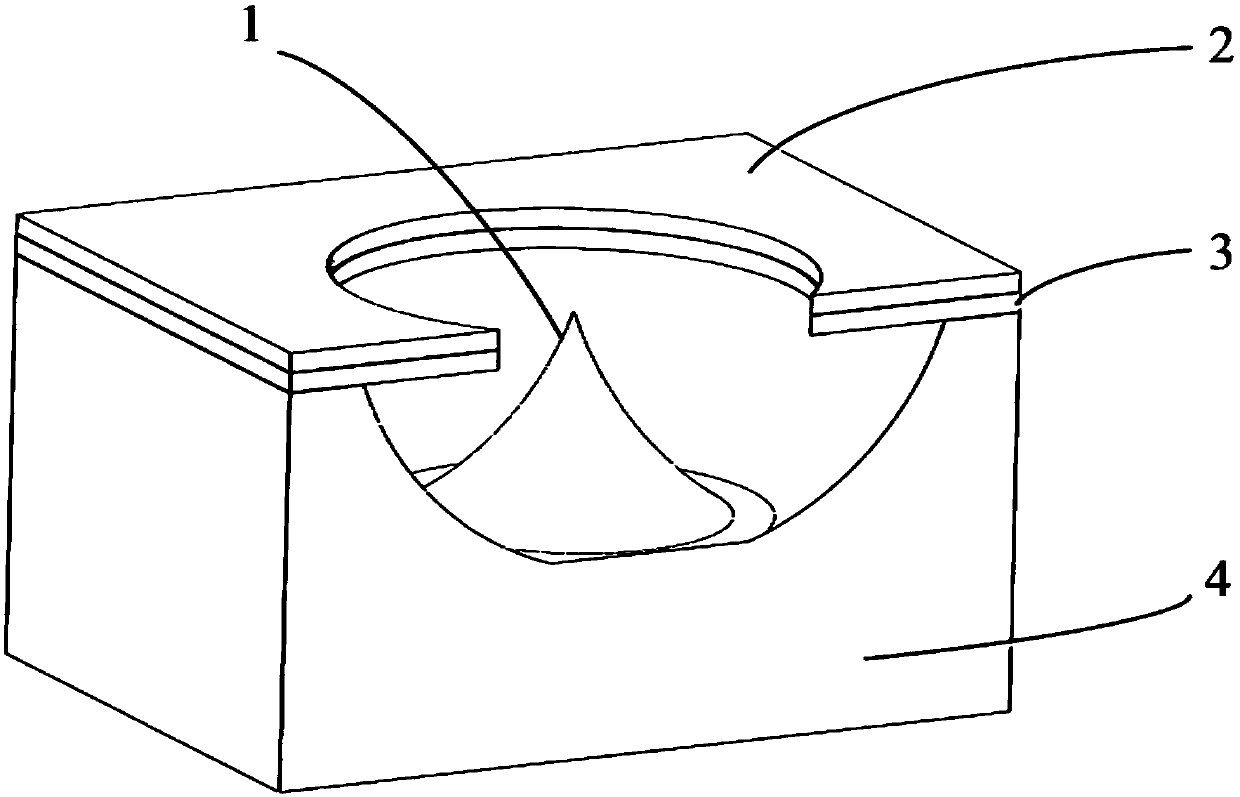 Electron Emission Cathode Array Based on Metal Molybdenum Substrate and Its Fabrication Method