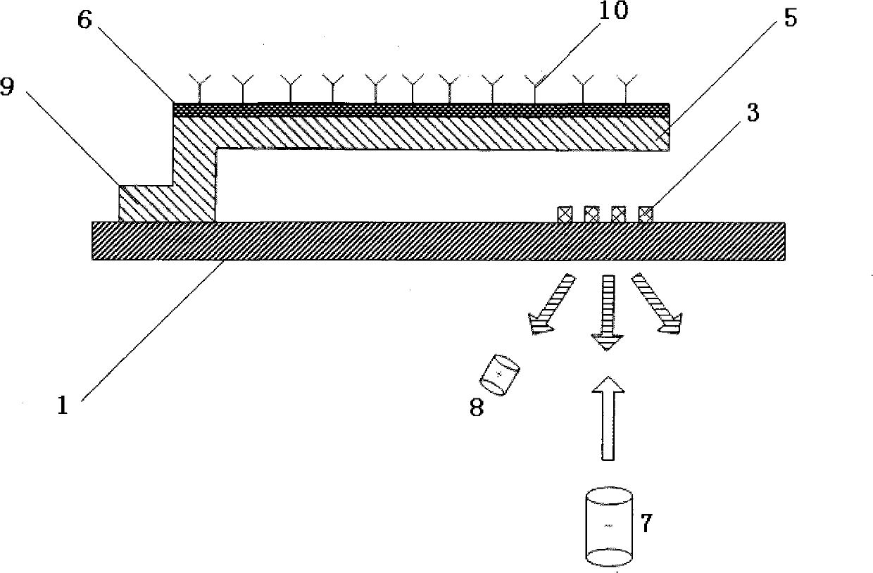 Integrated grating micro-cantilever biochemical sensor and chip manufacturing method