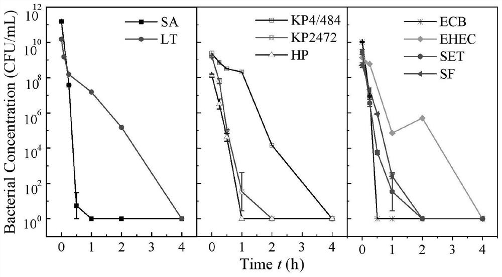 Preparation method and antibacterial application of copper iron oxide and mixed nanoparticles