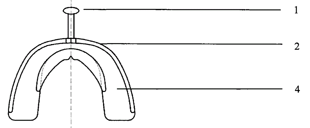 Ligula habit appliance