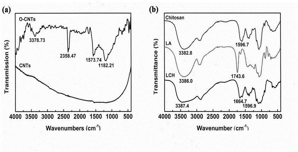 Hepatoma targeting carbon nano tube loaded with doxorubicin hydrochloride and preparation method thereof