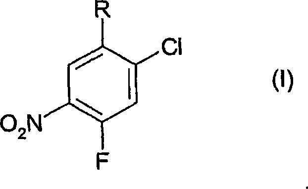 Process for the preparation of benzoic acid derivatives via a new intermediate of synthesis