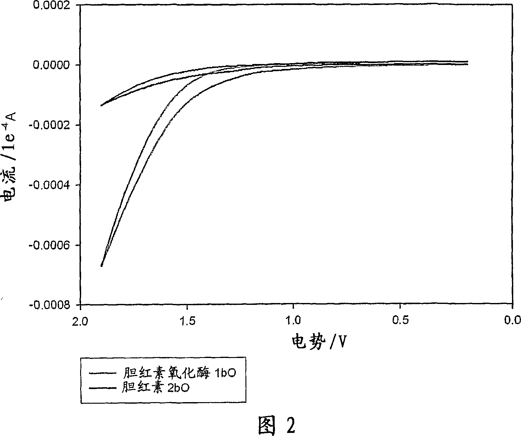 Immobilized enzymes in biocathodes