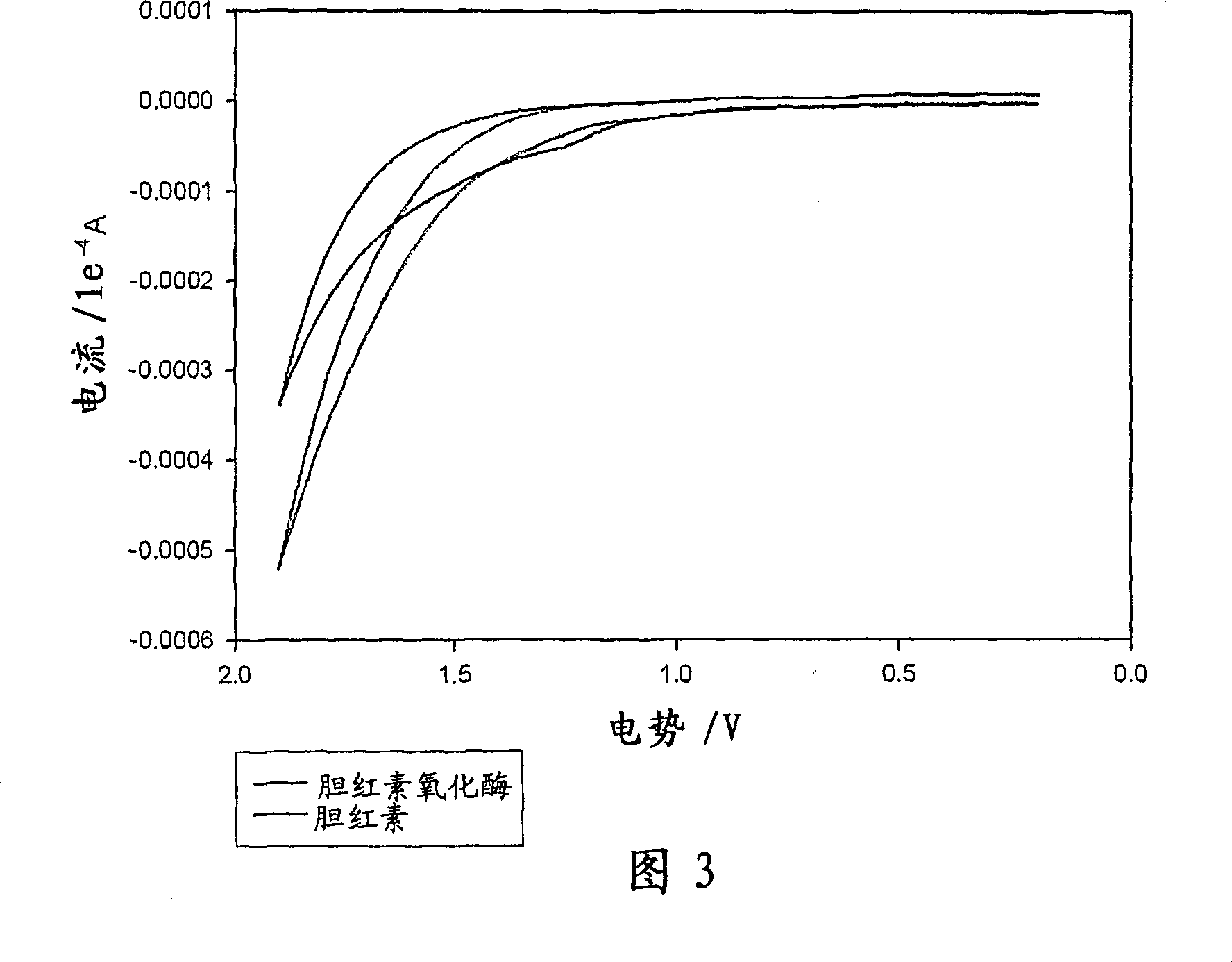 Immobilized enzymes in biocathodes