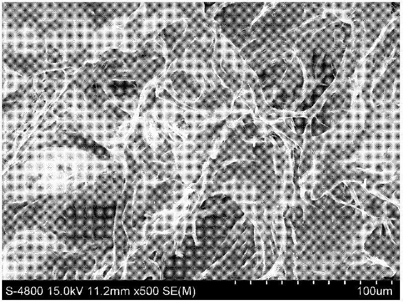 A method for adjusting pores of porcine acellular dermal matrix for tissue engineering