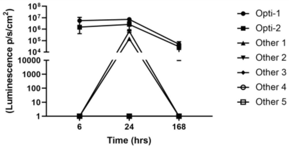 MRNA vaccine and synthesis method thereof and kit