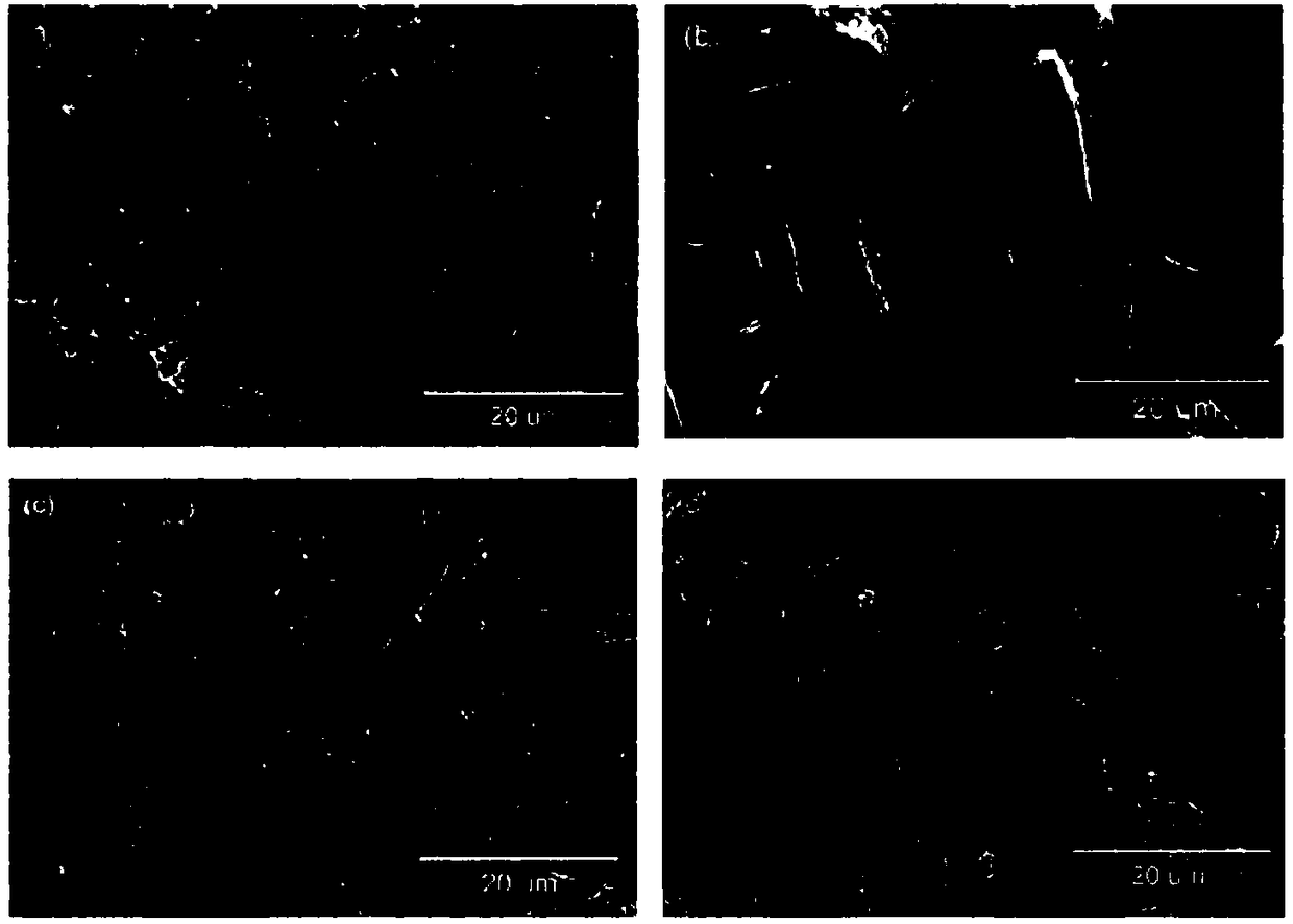 Hard carbon prepared from biomass waste bagasse as well as preparation method and application of harden carbon