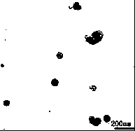 Preparation method for methotrexate/layered double hydroxide nanocomposite