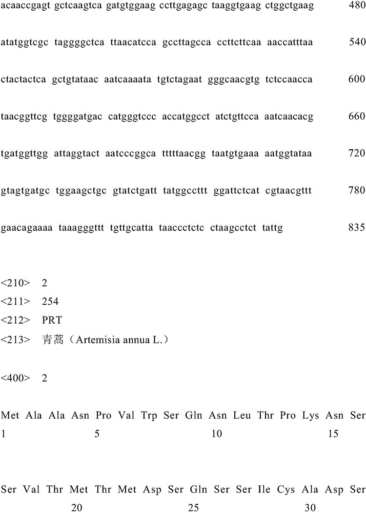 Artemisia annua L. bZIP class transcription factor coding sequence and cloning method and application