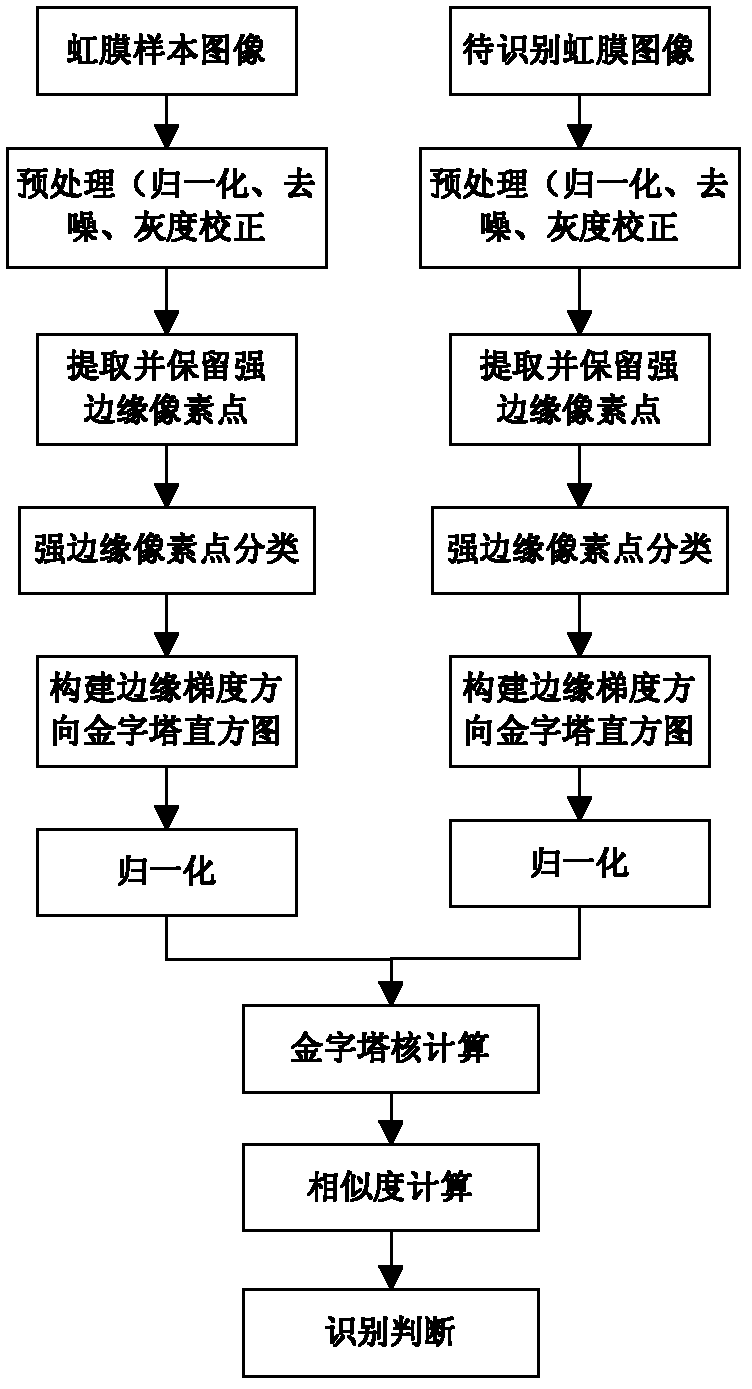 Method for recognizing iris based on edge gradient direction pyramid histogram