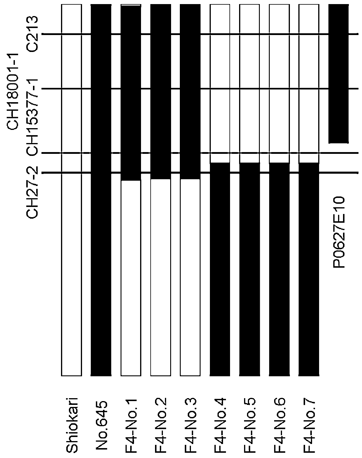 Nucleic acid imparting high-yielding property to plant, method for producing transgenic plant with increased yield, and method for increasing plant yield